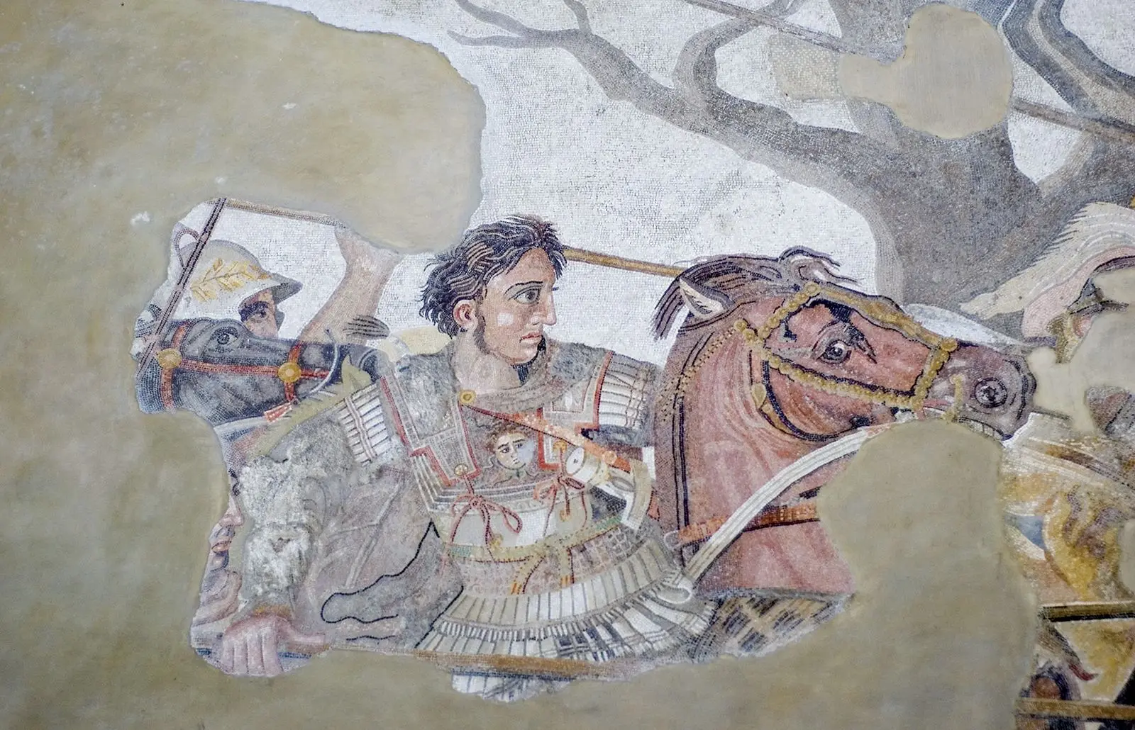 Illustration for Cyprus Joins Alexander the Great